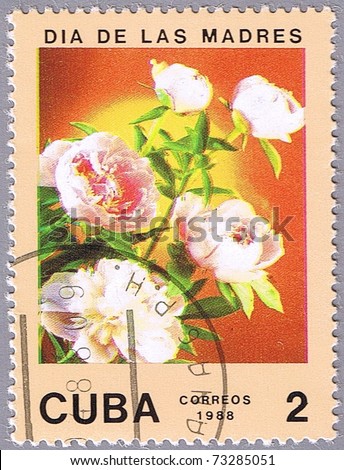 CUBA - CIRCA 1988: A stamp printed in Cuba shows pale pink roses, series is devoted to flowers, circa 1988