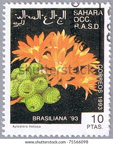 WESTERN SAHARA - CIRCA 1993: A stamp printed in Western Sahara shows Aylostera heliosa, series devoted to cacti, circa 1993