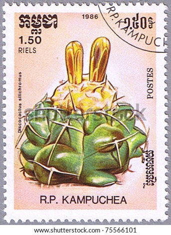 CAMBODIA- CIRCA 1986: A stamp printed in Cambodia shows Discocactus silichromus, series devoted to cacti, circa 1986