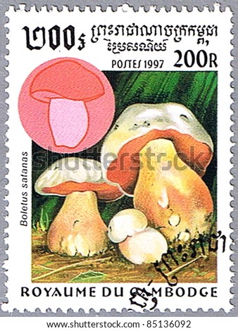 CAMBODIA - CIRCA 1997: A stamp printed in Cambodia shows Boletus satanas or Satan\'s mushroom, series, circa 1997