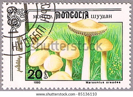 MONGOLIA - CIRCA 1990: A stamp printed in Mongolia shows Marasmius oreades or scotch bonnet or fairy ring mushroom, series, circa 1990