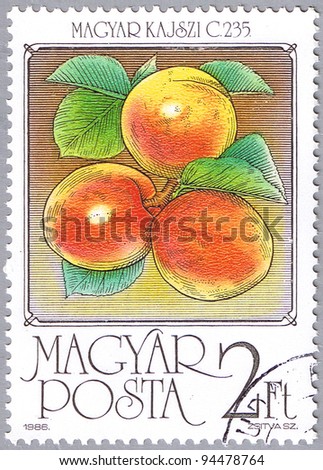 HUNGARY - CIRCA 1986: A stamp printed in Hungary shows Apricots, series is devoted to fruits, circa 1986