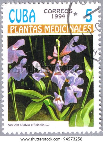 CUBA - CIRCA 1994: A stamp printed in Cuba shows Salvia officinalis or garden sage, series is devoted to medicinal plants, circa 1994
