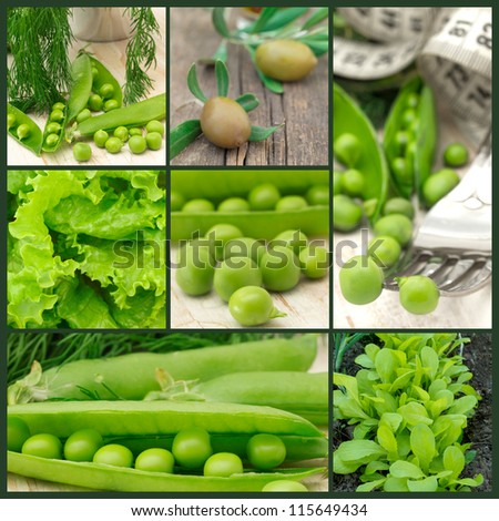 fresh green vegetables collage