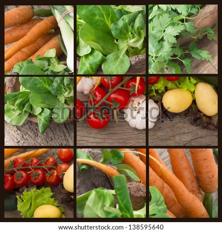 fresh vegetables collage