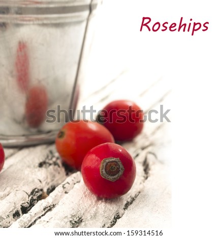 rosehips with place for the text