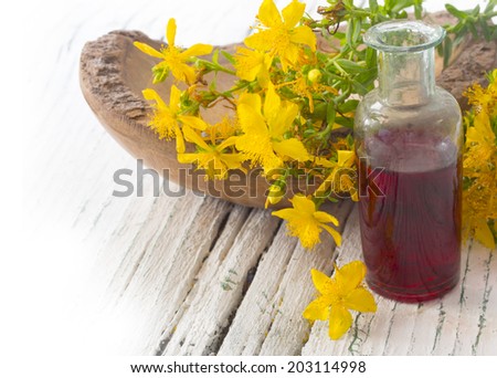 St John\'s wort flower, healing plant