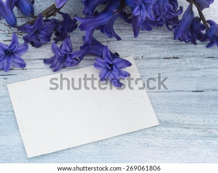 blank greeting card with fresh purple flowers