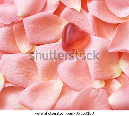 soft, rubber heart on rose\'s pentals