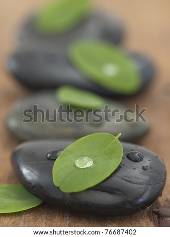 zen like stones with leaves