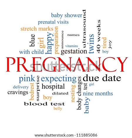 Pregnancy Word Cloud Concept with great terms such as prenatal, baby, delivery, nine months and more.