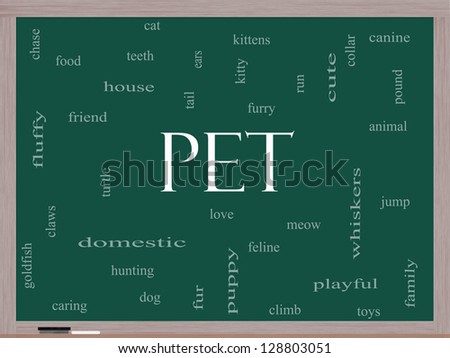 Pet Word Cloud Concept on a Blackboard with great terms such as cat, turtle, dog, goldfish and more.