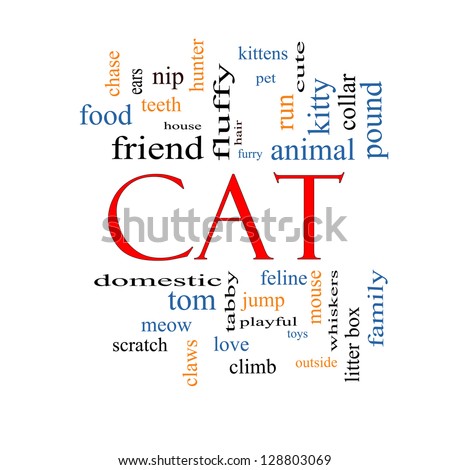 Cat Word Cloud Concept with great terms such as feline, tabby, food, nip and more.