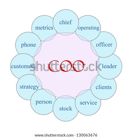 COO concept circular diagram in pink and blue with great terms such as chief, operating, officer, leader and more.