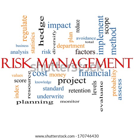 Risk Management Word Cloud Concept with great terms such as total, factors, levels, financial and more.