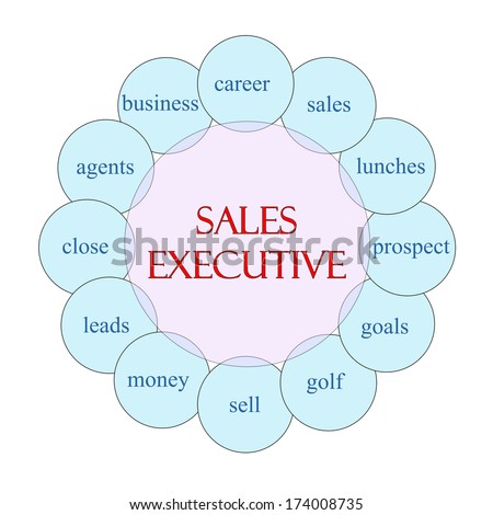 Sales Executive concept circular diagram in pink and blue with great terms such as career, goals, leads and more.