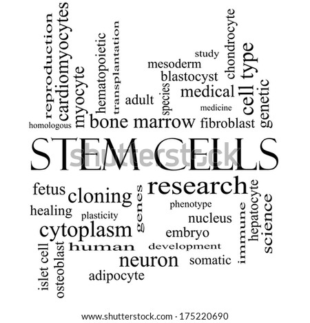 Stem Cells Word Cloud Concept in black and white with great terms such as research, human, medical and more.