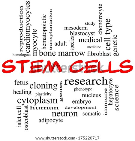 Stem Cells Word Cloud Concept in red caps with great terms such as research, human, medical and more.