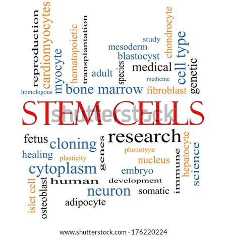 Stem Cells Word Cloud Concept with great terms such as research, human, medical and more.