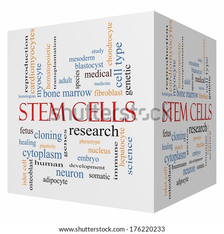 Stem Cells 3D cube Word Cloud Concept with great terms such as research, human, medical and more.