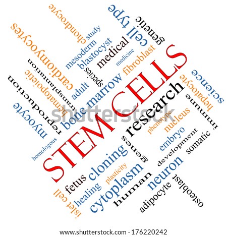 Stem Cells Word Cloud Concept angled with great terms such as research, human, medical and more.