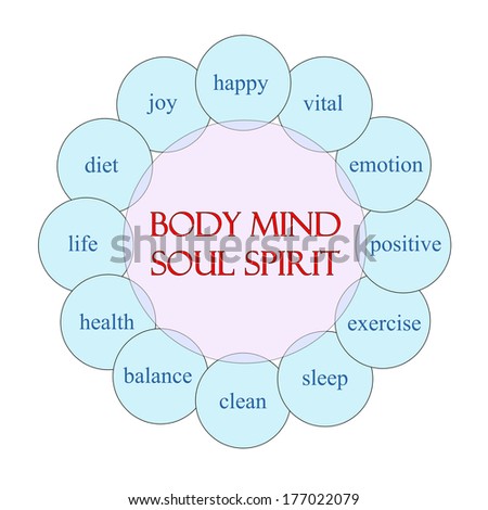 Body Mind Soul Spirit concept circular diagram in pink and blue with great terms such as happy, vital, emotion and more.