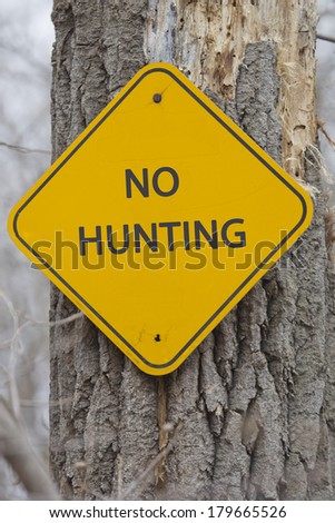 A yellow and black diamond shaped road sign on a tree with the words NO HUNTING making a great concept.