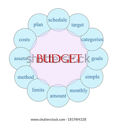 Budget concept circular diagram in pink and blue with great terms such as schedule, target, plan and more.