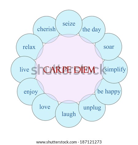 Carpe Diem concept circular diagram in pink and blue with great terms such as seize, the day, happy and more.