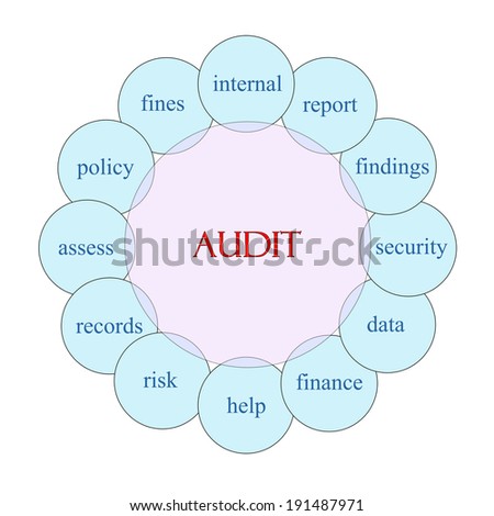Audit concept circular diagram in pink and blue with great terms such as internal, report, findings and more.