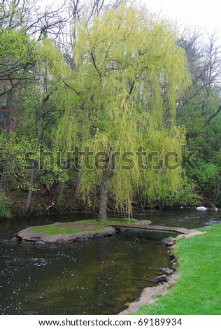 A weeping willow tree grows on an island in a river a small walking bridge leading to it.