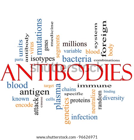 Antibodies Word Cloud Concept with great terms such as genes, bacteria, system immune, plasma, proteins, genetics and more.