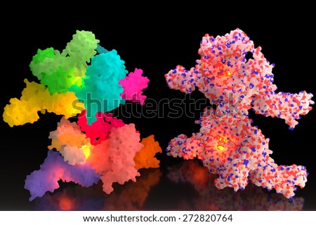 Biological macromolecules (surface representation) colored by chain and by element.  	The contents of the protein crystal asymmetric unit.