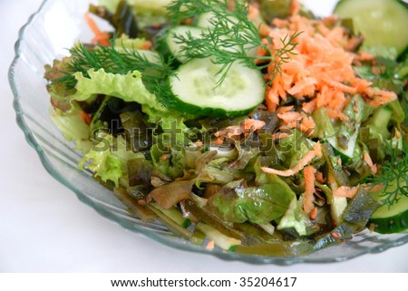 salad from vegetables and sea kale, cucumber, carrot, sheet of the salad