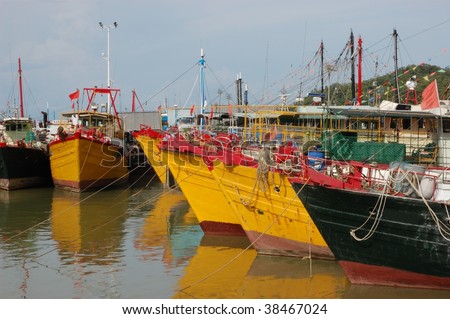 The fishing fleet in harbor