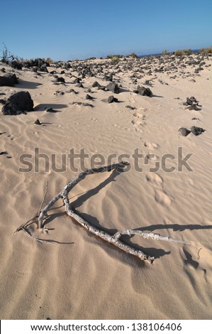 Footsteps and wood in the desert , in Canary Islands, Spain