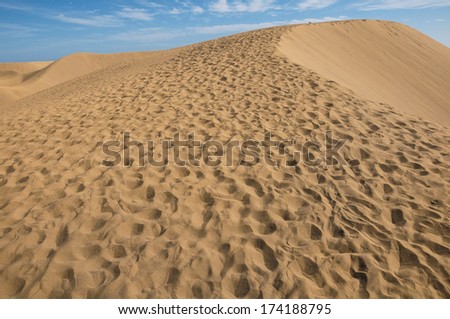 Sand Desert Texture