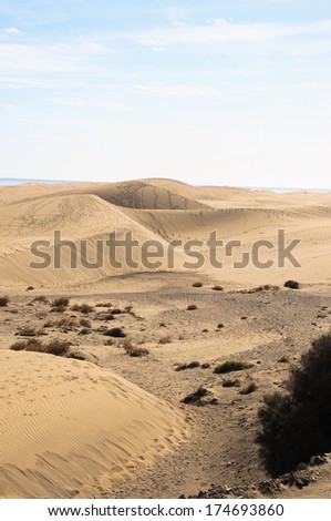 Sand Desert Texture in Canary Islands