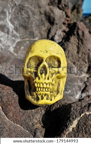 Ancient Vintage Human Skull Head on the rocks