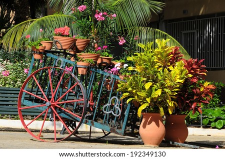 Wagon and Vases with Plants on a Garden