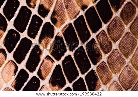 Artificial Reptil Snake Skin Seamless Pattern Texture