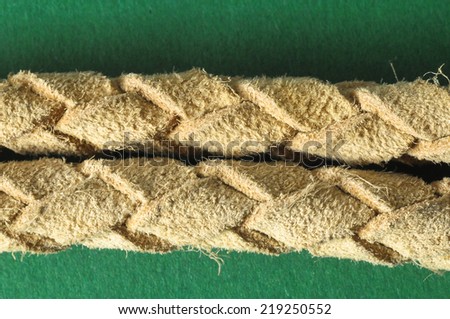 Brown Textured Braided Leather Necklace on a Colored Background