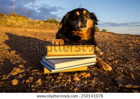 One intelligent Black Dog Reading a Book on a White Background
