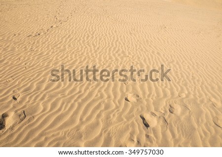 Texture Sand Dune Desert in Gran Canaria Island Spain