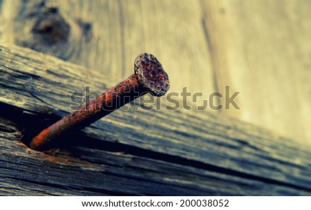nice HDR detail of old nail in wood