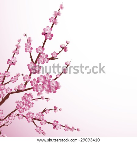 cherry tree blossom drawing. cherry tree blossom drawing.