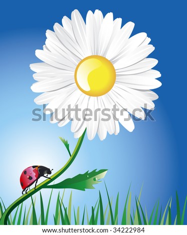 Daisy+flower+with+stem