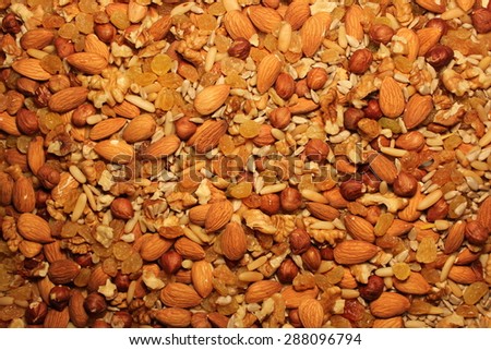 Seed mix : pine buds, almonds, hazelnuts, sunflower seeds, raisins, walnut kernels