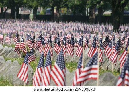 Flags in a cemetery on Veterans Day.