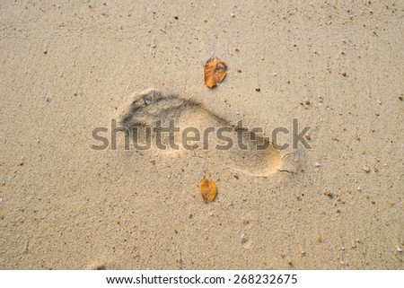White Sand Beach in Thailand,Beach,Tropical Island,Sand,Footprint